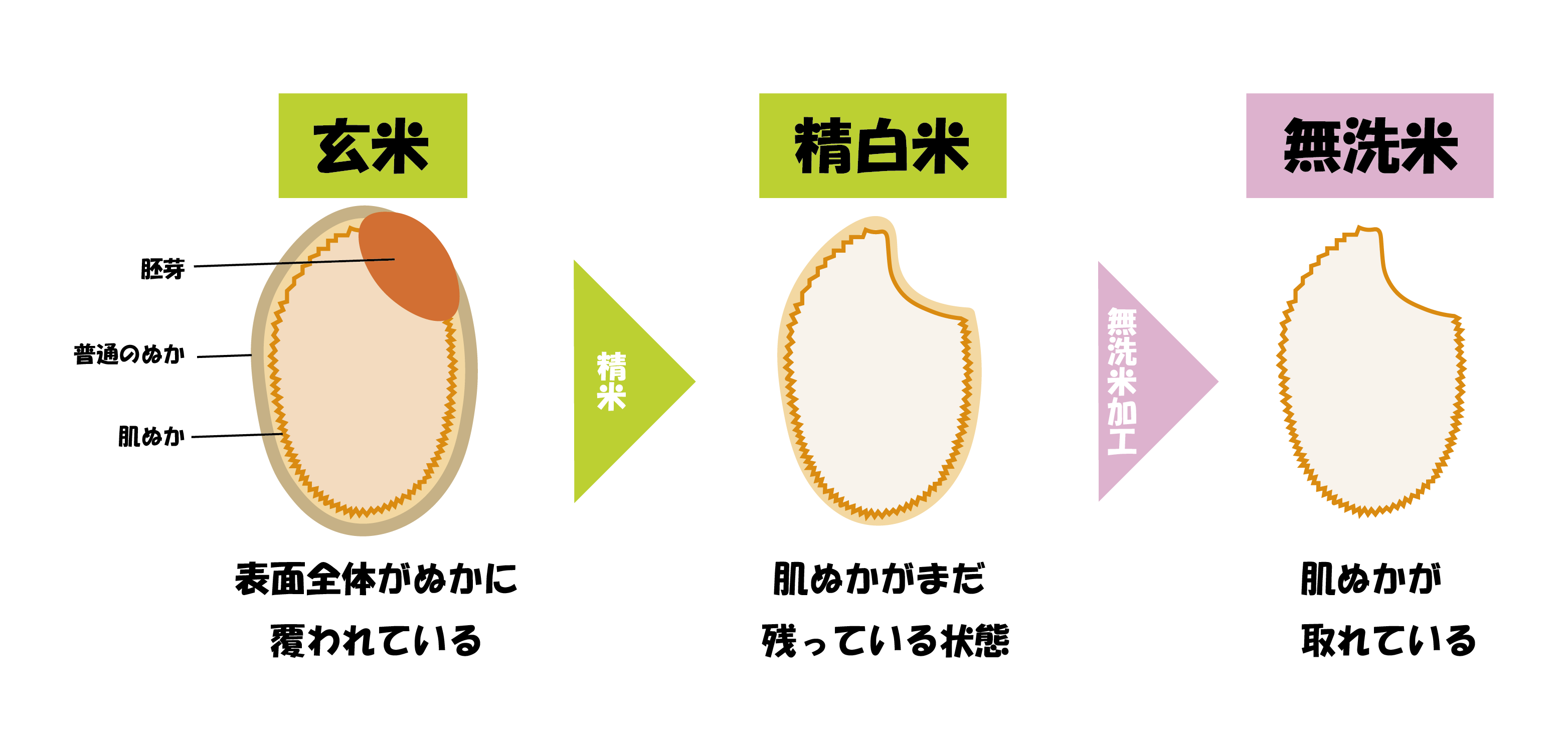 新米予約・2023年10月配送開始】無洗米 山清水米（白米）5kg / NPO法人